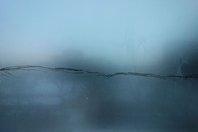 Biba Bell, It Never Really Happened, photograph by Norman McDonald