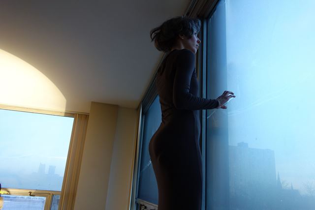 It Never Really Happened, Norman McDonald