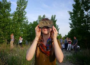 Bridget Frances Quinn