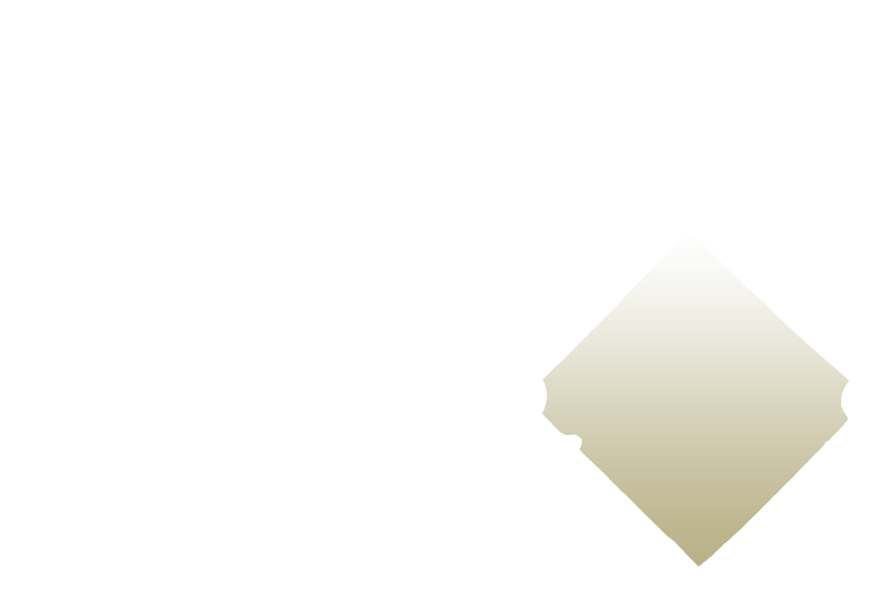 four gold link chain fence 04